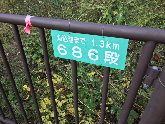 石段コース686段