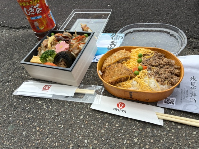 Two Japanese bento boxes on a pavement: a square box with assorted items (egg, broccoli, fish cake) and a round box with shredded omelette and seasoned beef over rice, with chopsticks and a drink bottle nearby.