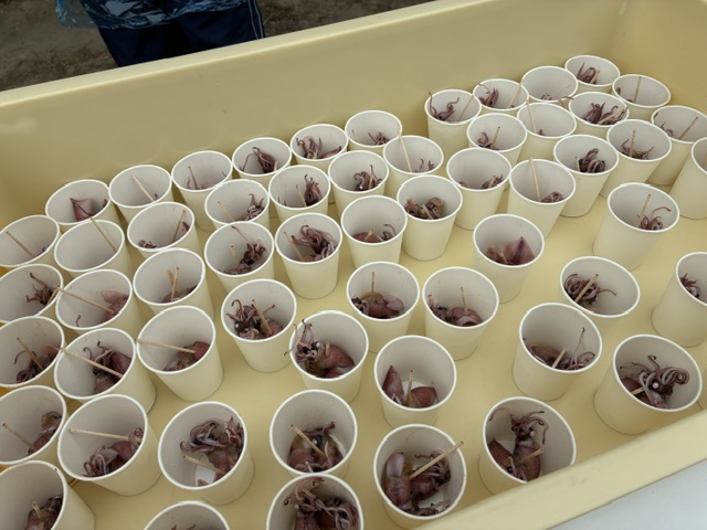Rows of white cups filled with small octopuses on a yellow tray, each cup with a toothpick ready to eat.